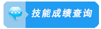 技能成绩查询